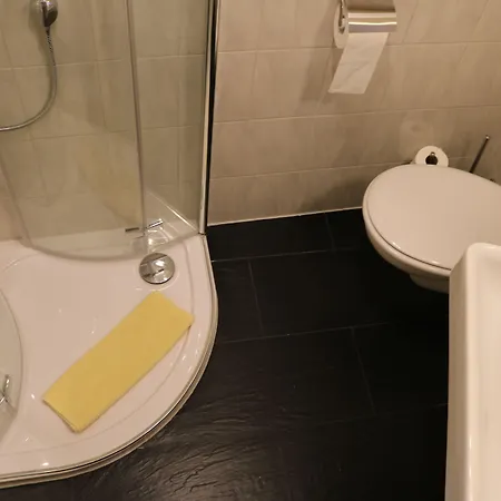 Hotel Brigitte Bad Krozingen